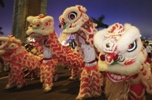 Year of the Rabbit Chinese New Year